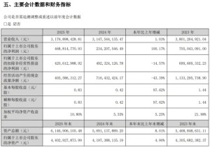 嘉联支付2025年度业绩公布，母公司净利润4.69亿元