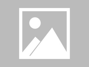 拉卡拉pos机收年费吗，多少钱一年？